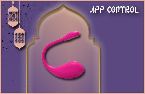 App Controlled Vibrator